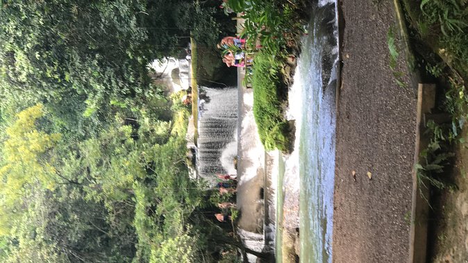 YS Falls Private Full-Day Adventure Tour with Pickup - The private ride from Negril and the West End