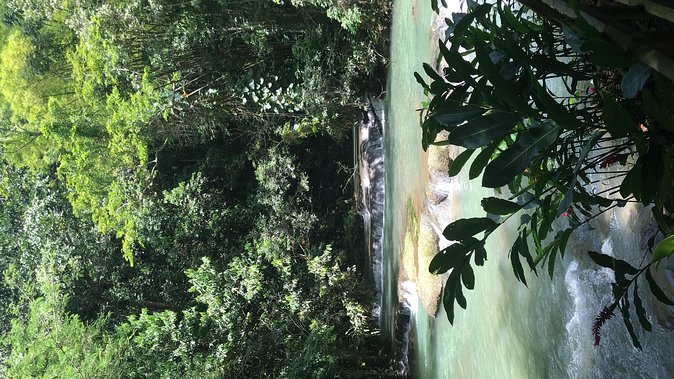 YS Falls Private Full-Day Adventure Tour with Pickup - Canopy rides from the top to the base
