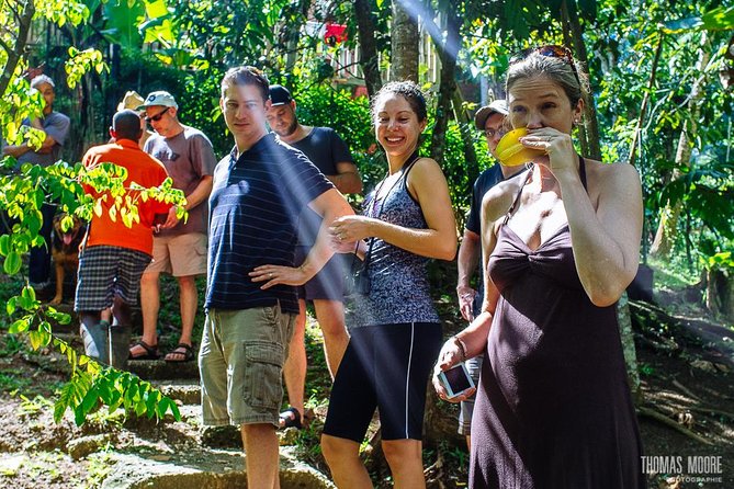 Zimbali's Rasta Tour Lunch - The 45-minute climb to the Rasta camp