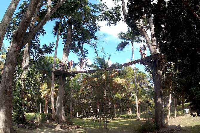 Zip Line over the Dunns River Falls - A short zipline course above Dunns River