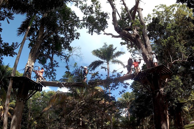 Zip Line over the Dunns River Falls - The Montego Bay transfer is part of the value