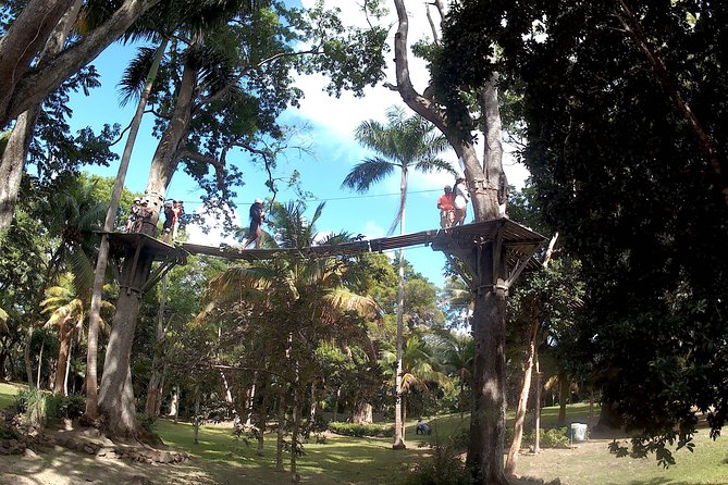 Zip Line over the Dunns River Falls - What the $192.67 price really buys