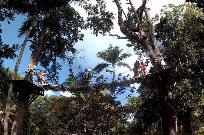 Zip Line over the Dunns River Falls - Safety, comfort, and the right level of adventure
