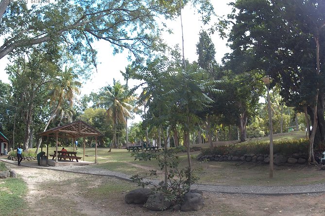 Zip Line over the Dunns River Falls - Who will enjoy this Dunns River combination