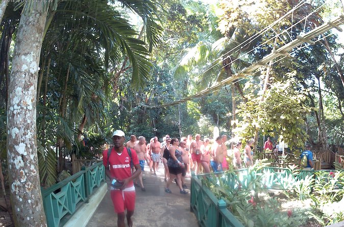 Zip Line over the Dunns River Falls - My practical verdict on the four-hour outing