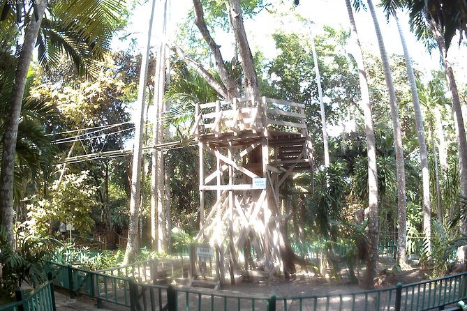 Zip Line over the Dunns River Falls - The waterfall portion gives the outing its lasting appeal