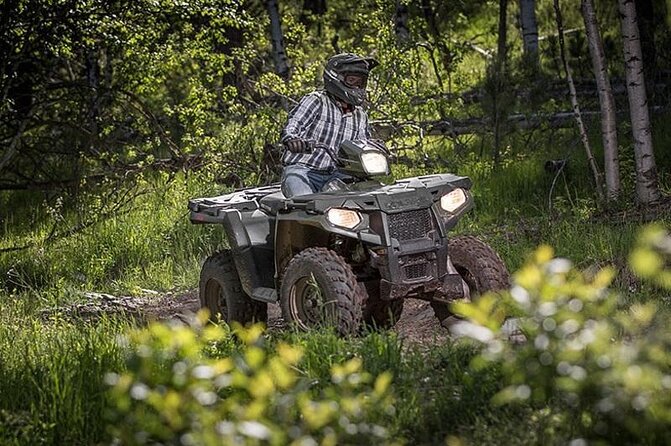 Zip-lining/Horseback Rides/Cat & Atv Inclusive Act with Transpo From Montego Bay - Horseback riding goes beyond the shoreline