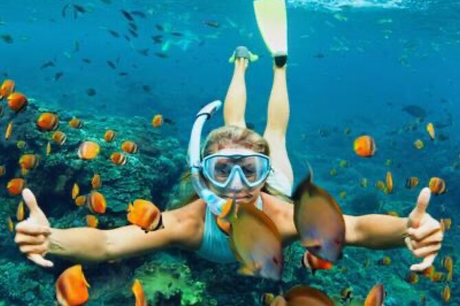 Zip-lining/Horseback Rides/Cat & Atv Inclusive Act with Transpo From Montego Bay - The guides shape the experience