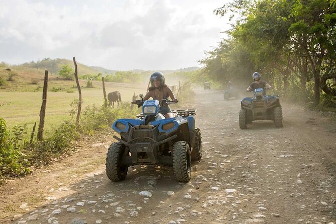 Zip-lining/Horseback Rides/Cat & Atv Inclusive Act with Transpo From Montego Bay - ATV trails bring the roughest action