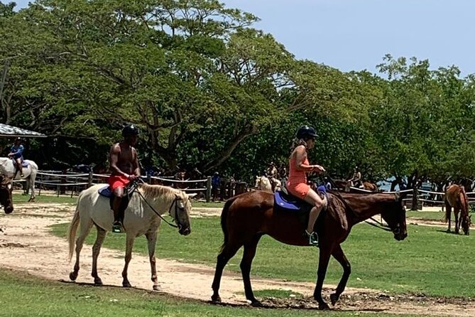 Zipline, Horseback Ride, ATV and Catamaran from Montego Bay - A packed Jamaican day from Montego Bay